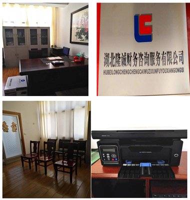 湖北隆誠(chéng)財(cái)務(wù)咨詢服務(wù) 專業(yè)賦能，助力企業(yè)穩(wěn)健發(fā)展